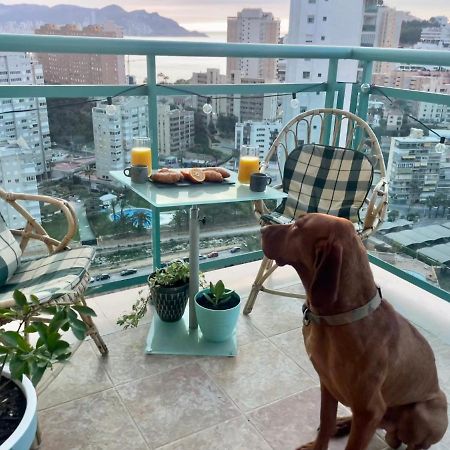 Traveler'S Beach Apartment With Sea View, Free Coffee & Parking Benidorm Eksteriør billede