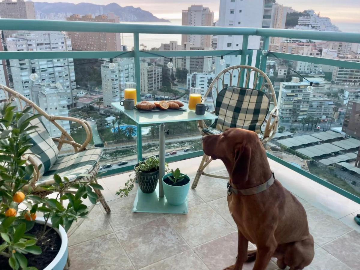 Traveler'S Beach Apartment With Sea View, Free Coffee & Parking Benidorm Eksteriør billede